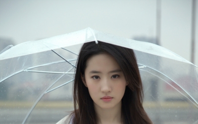 刘亦菲年轻时的清纯​​​写真，网友称这才是真正的天生丽质，颜值惊艳引发热议