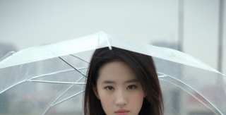 刘亦菲年轻时的清纯​​​写真，网友称这才是真正的天生丽质，颜值惊艳引发热议